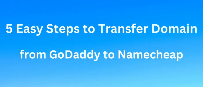 Transfer Domain from GoDaddy to Namecheap
